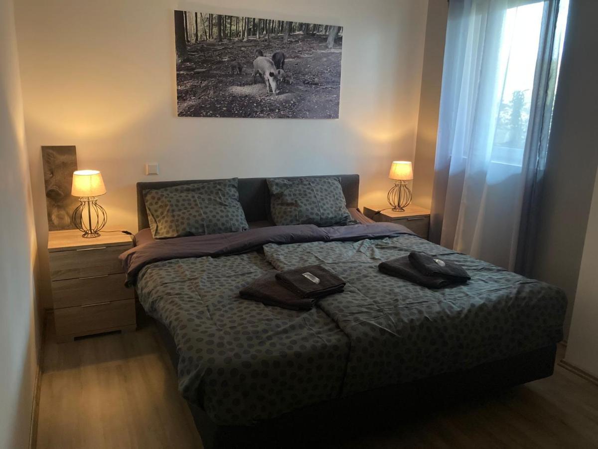 Comfortable 4-Person Apartments Winterberg Медебах Экстерьер фото